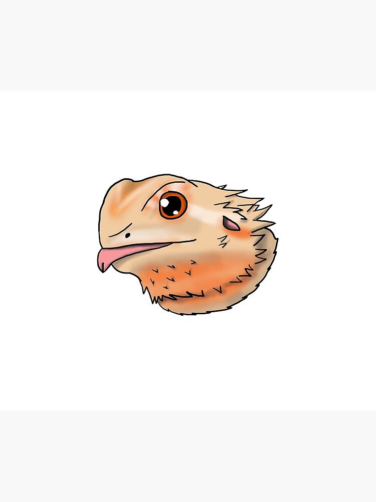 Bearded Dragon Drawing - How To Draw A Bearded Dragon Step By Step