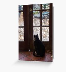 Cat by the Door Greeting Card
