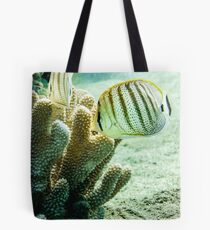 Reef fish Tote Bag
