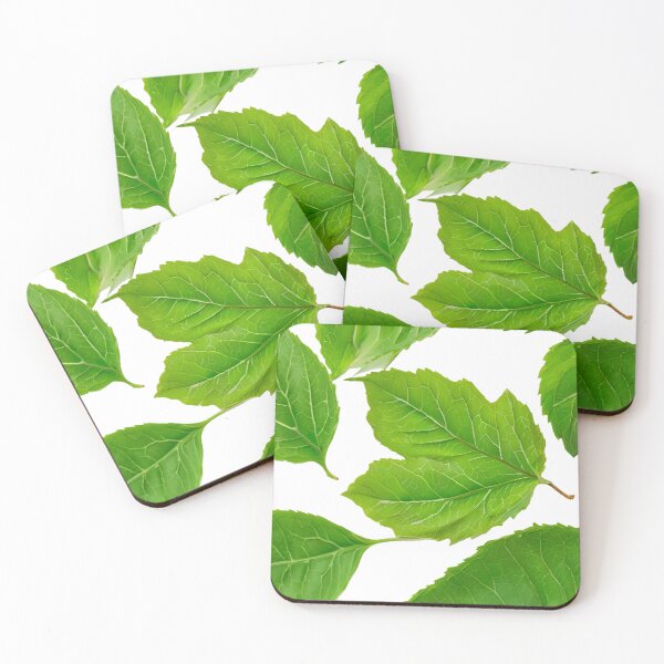 Item preview, A close up of a leafy green plant with a white background designed and sold by PWDigitalArt.