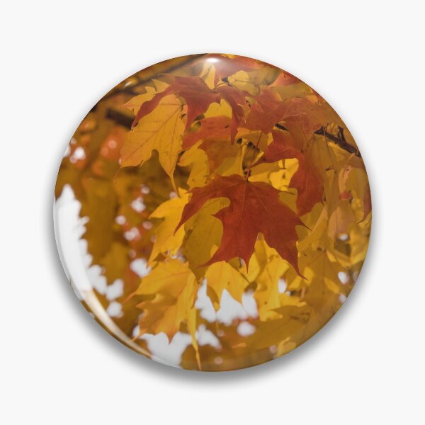 Item preview, Gradual Autumn Color Progression designed and sold by Georgia Mizuleva.