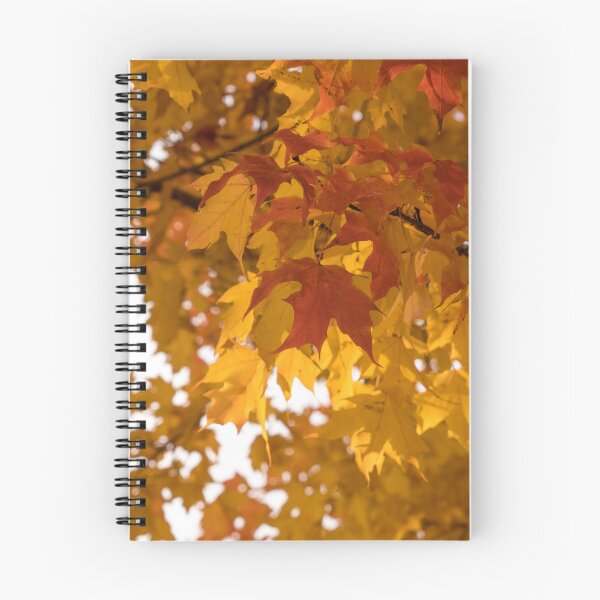 Item preview, Gradual Autumn Color Progression designed and sold by Georgia Mizuleva.