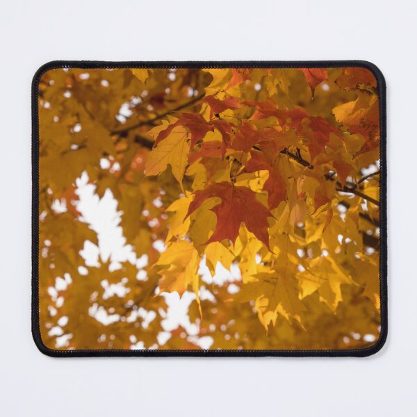 Item preview, Gradual Autumn Color Progression designed and sold by Georgia Mizuleva.