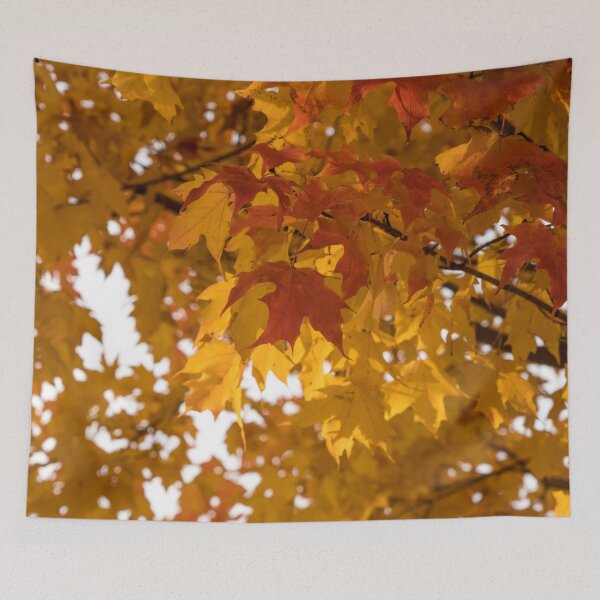 Item preview, Gradual Autumn Color Progression designed and sold by Georgia Mizuleva.