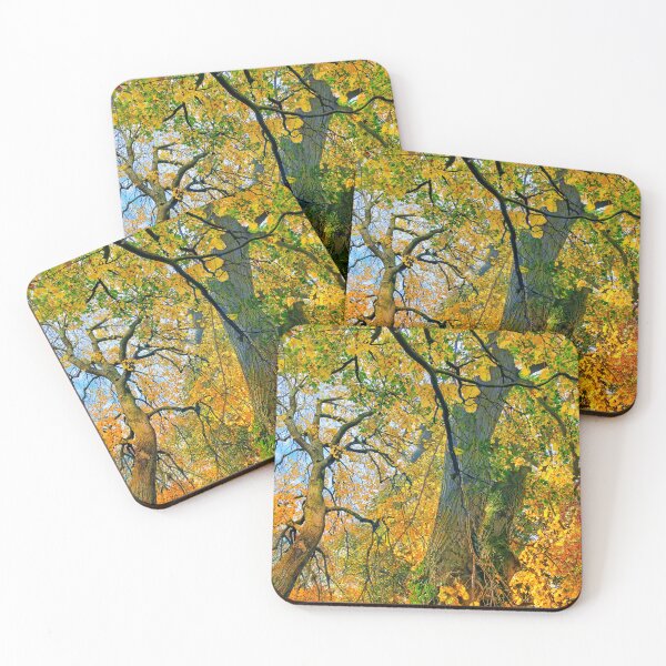 Item preview, Autumn in Oakwood designed and sold by dawnsm.