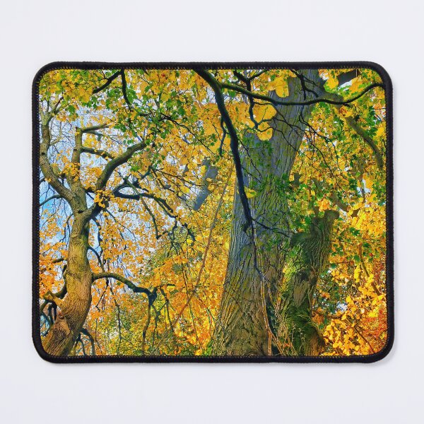 Item preview, Autumn in Oakwood designed and sold by dawnsm.