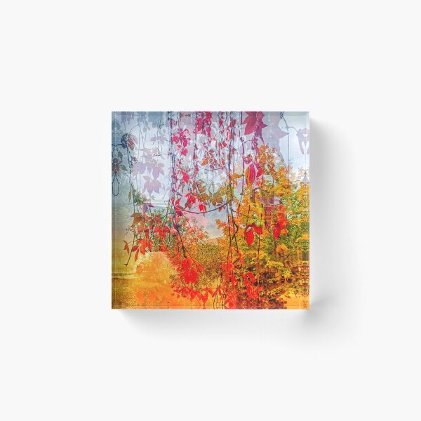 Item preview, Autumn on a Canal I designed and sold by dawnsm.