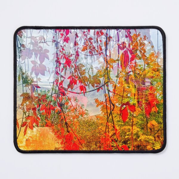 Item preview, Autumn on a Canal I designed and sold by dawnsm.