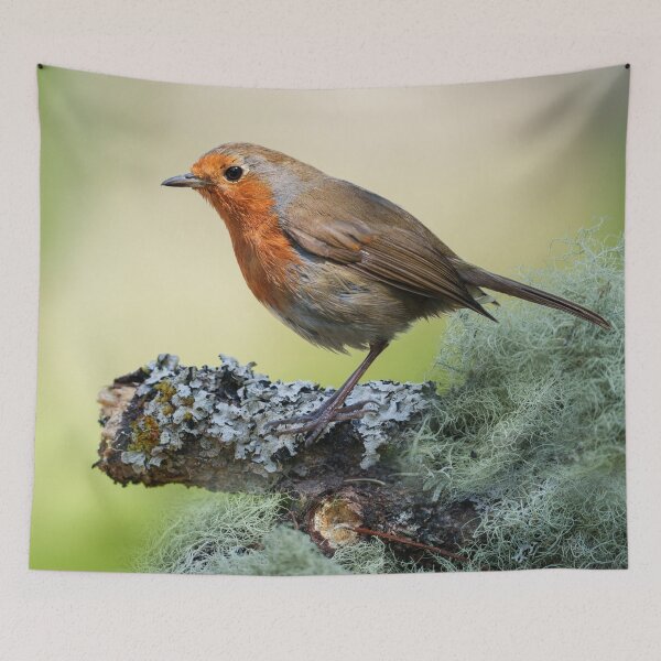Item preview, Robin’s Woodland Perch designed and sold by rawshutterbug.