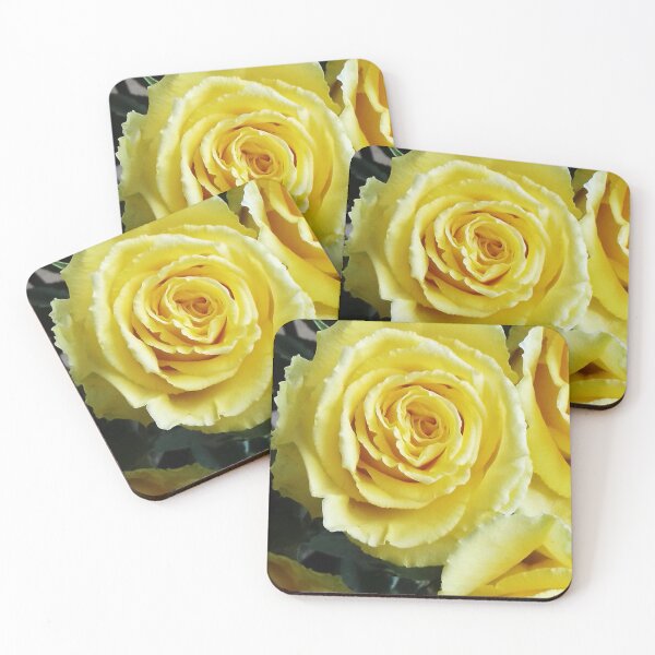 Item preview, Yellow Rose, Yellow Rose - Photography designed and sold by Holzfrau-Swiss.