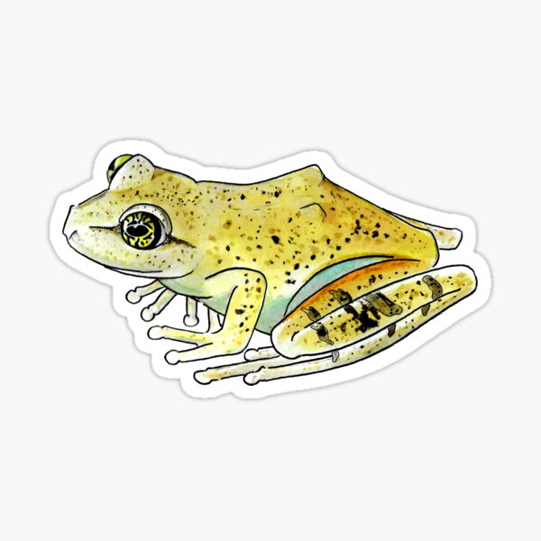Item preview, Boophis arcanus designed and sold by LittleClayFrog.