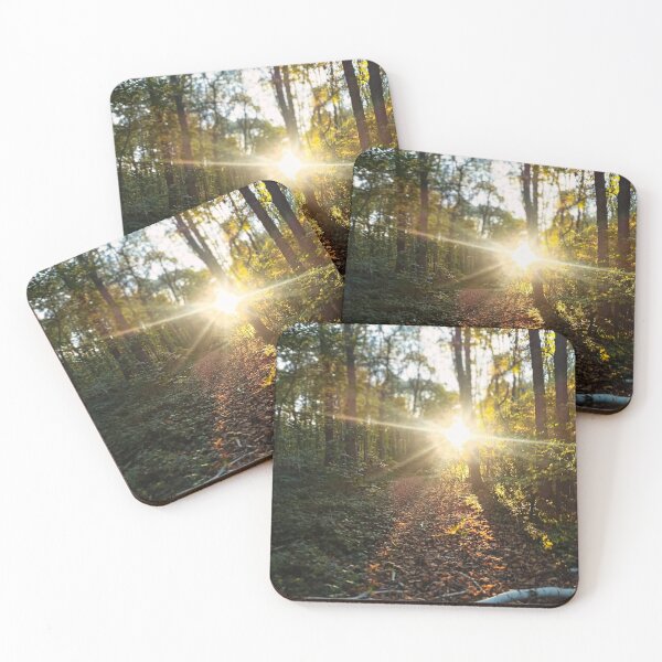 Item preview, Sunlight through the forest designed and sold by sandgrowndesign.