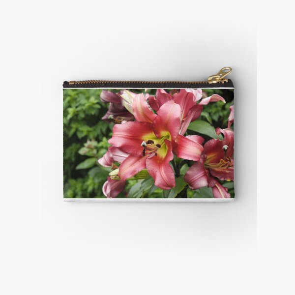 Item preview, Lily Display designed and sold by jalfc46.