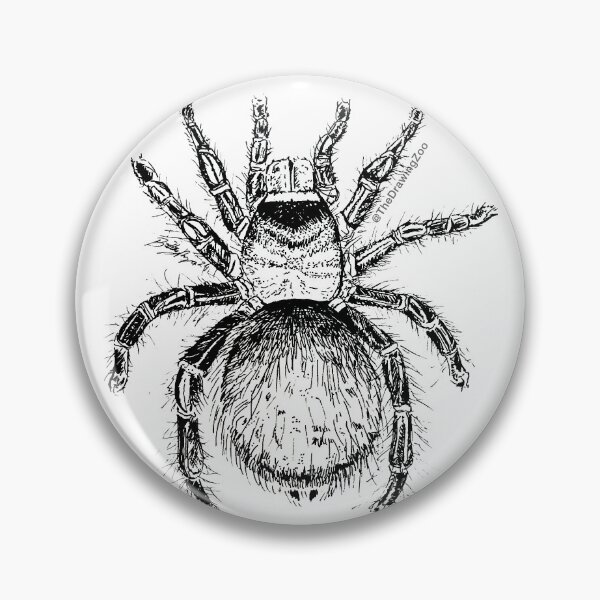 Item preview, Tarantula designed and sold by TheDrawingZoo.