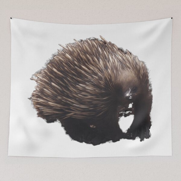 Item preview, Short-beaked Echidna designed and sold by Wondrous-Wild.