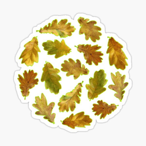 Item preview, Fall Oak Leaves - Autumn Nature Design designed and sold by TheSassyNoble.
