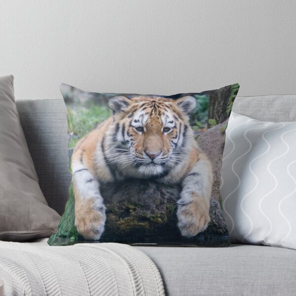 Item preview,  panoramic,panoramic wall art, panoramic canvas Tapestries,Tapestry,throw blankets,comforters,tiger,animal, animals,tiger wall art,tiger artwork,tigers,wild,tiger art,tiger painting, designed and sold by eyesight4vision.