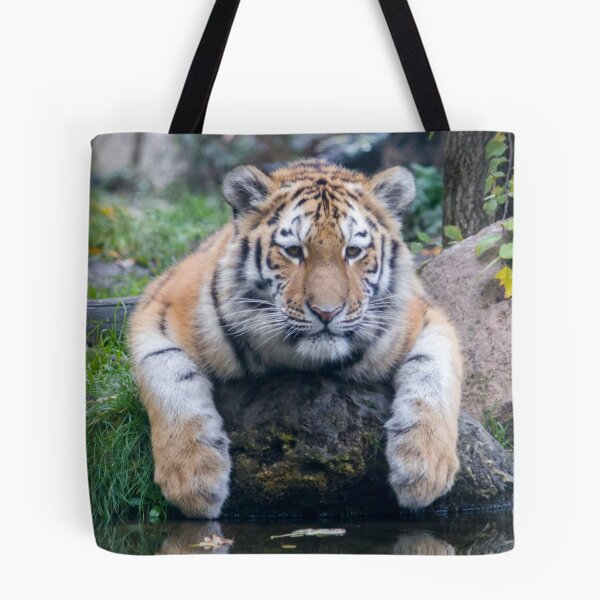 Item preview,  panoramic,panoramic wall art, panoramic canvas Tapestries,Tapestry,throw blankets,comforters,tiger,animal, animals,tiger wall art,tiger artwork,tigers,wild,tiger art,tiger painting, designed and sold by eyesight4vision.