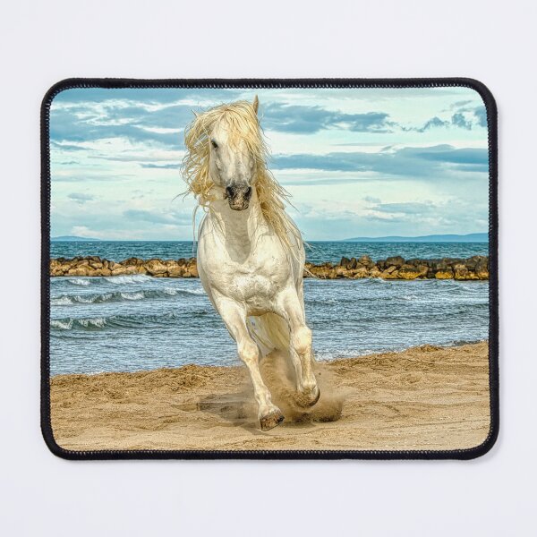 Item preview, White Stallion Cantering on the beach designed and sold by HelkoryoArt.