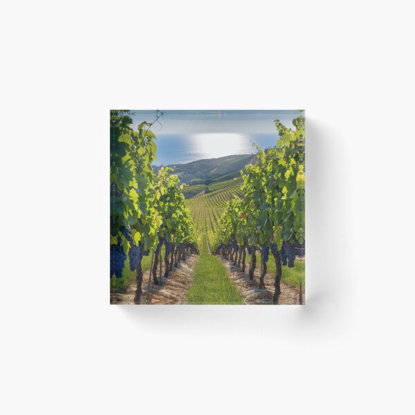 Artikelvorschau, Weinbergwind entworfen und verkauft von BCD BRANDS.