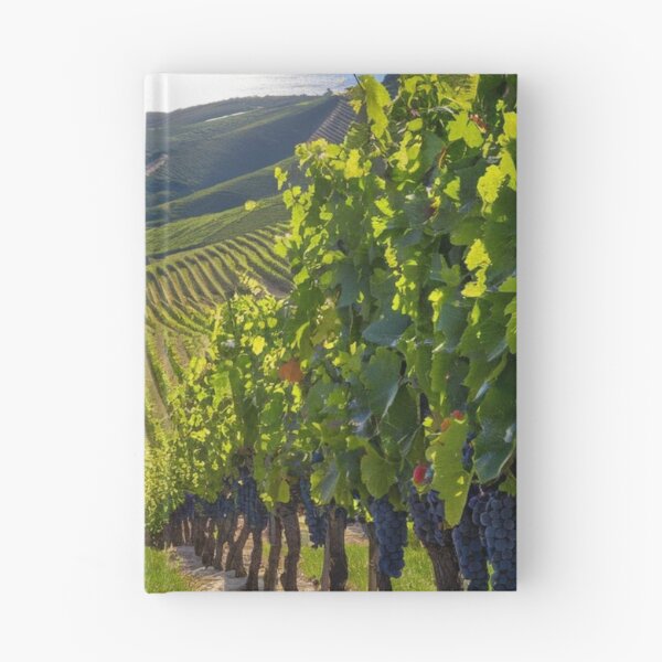 Artikelvorschau, Weinbergwind entworfen und verkauft von BCD BRANDS.