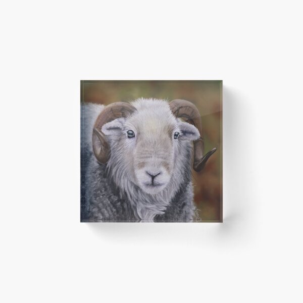 Artikelvorschau, Hardy Herdwick entworfen und verkauft von Roz Goodman.