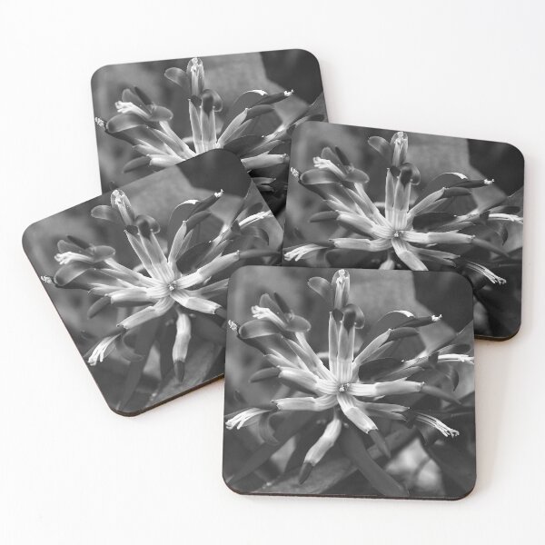 Item preview,  Queen's Tears Flower Squared Black And White  designed and sold by MercerImages.