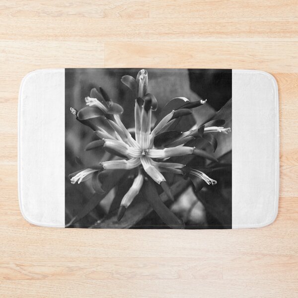 Item preview,  Queen's Tears Flower Squared Black And White  designed and sold by MercerImages.