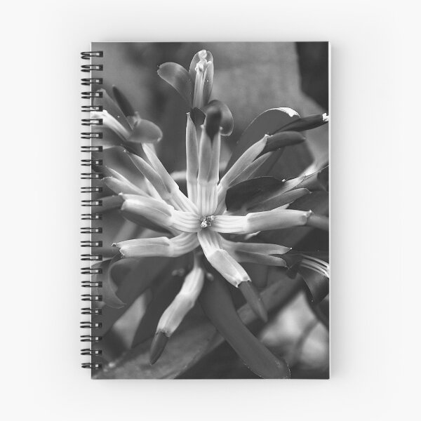 Item preview,  Queen's Tears Flower Squared Black And White  designed and sold by MercerImages.