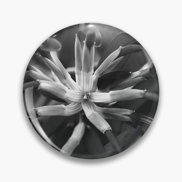 Item preview,  Queen's Tears Flower Squared Black And White  designed and sold by MercerImages.