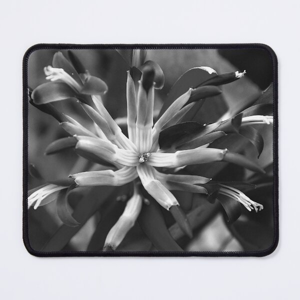 Item preview,  Queen's Tears Flower Squared Black And White  designed and sold by MercerImages.