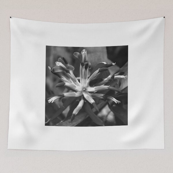 Item preview,  Queen's Tears Flower Squared Black And White  designed and sold by MercerImages.