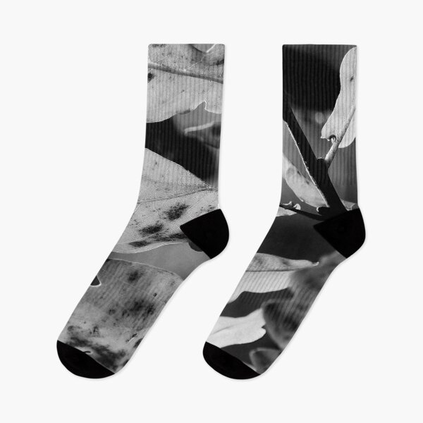 Item preview, The fall of Pedunculate oak 3 bw designed and sold by Jouko Lehto Photography.