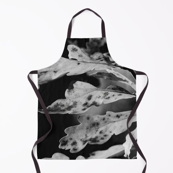 Item preview, The fall of Pedunculate oak 3 bw designed and sold by Jouko Lehto Photography.