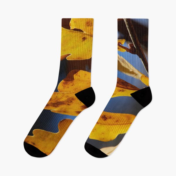 Item preview, The fall of Pedunculate oak 3 designed and sold by Jouko Lehto Photography.
