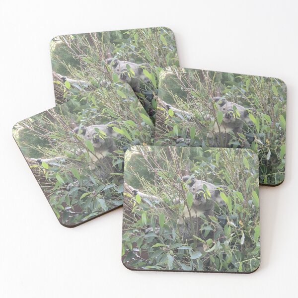 Item preview, Koala designed and sold by Wondrous-Wild.