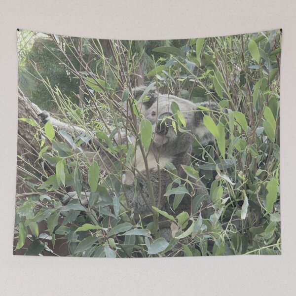 Item preview, Koala designed and sold by Wondrous-Wild.