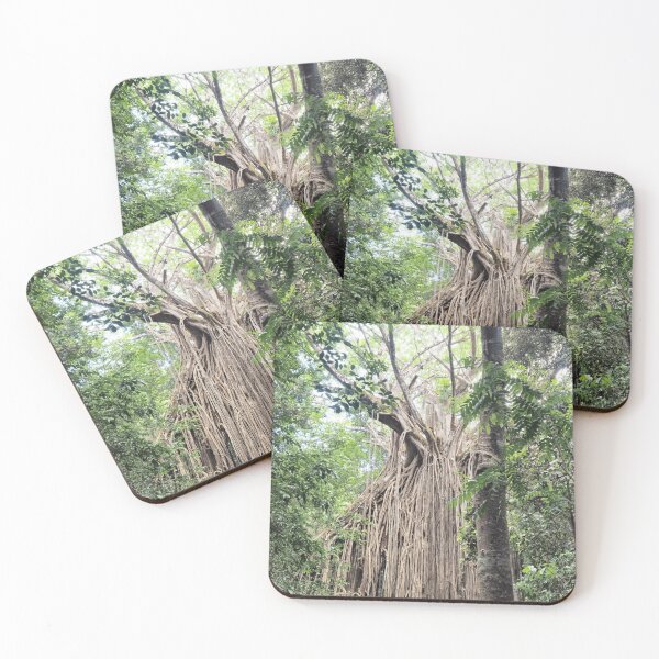 Item preview, Curtain Fig designed and sold by Wondrous-Wild.