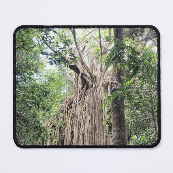 Item preview, Curtain Fig designed and sold by Wondrous-Wild.