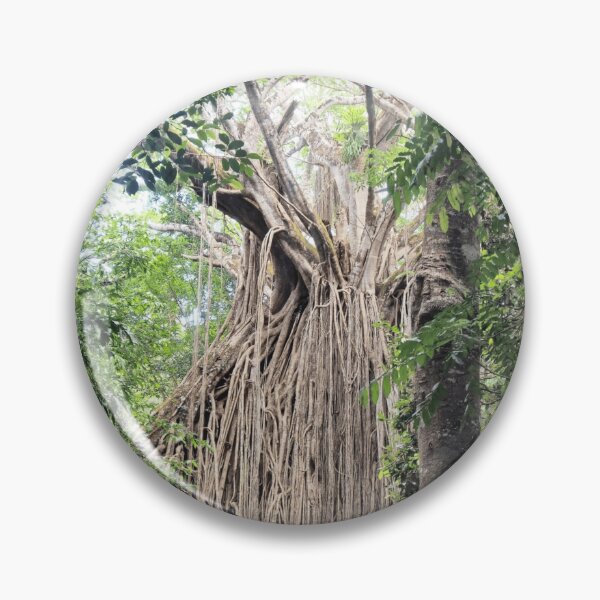 Item preview, Curtain Fig designed and sold by Wondrous-Wild.