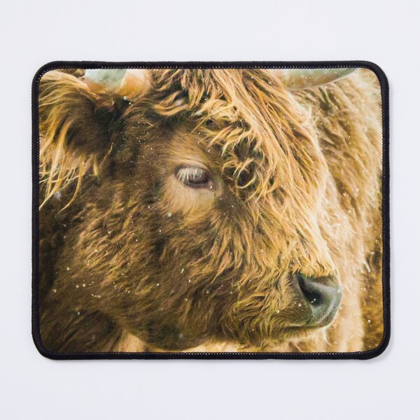 Item preview, Highlander in the Snow designed and sold by CosAnnMPhoto.
