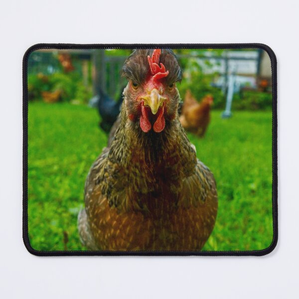 Item preview, Angry Chicken designed and sold by CosAnnMPhoto.