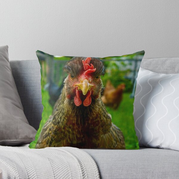Item preview, Angry Chicken designed and sold by CosAnnMPhoto.