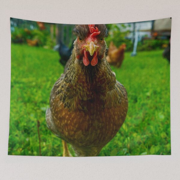 Item preview, Angry Chicken designed and sold by CosAnnMPhoto.