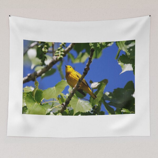Item preview, Yellow Warbler designed and sold by Alyce Taylor.
