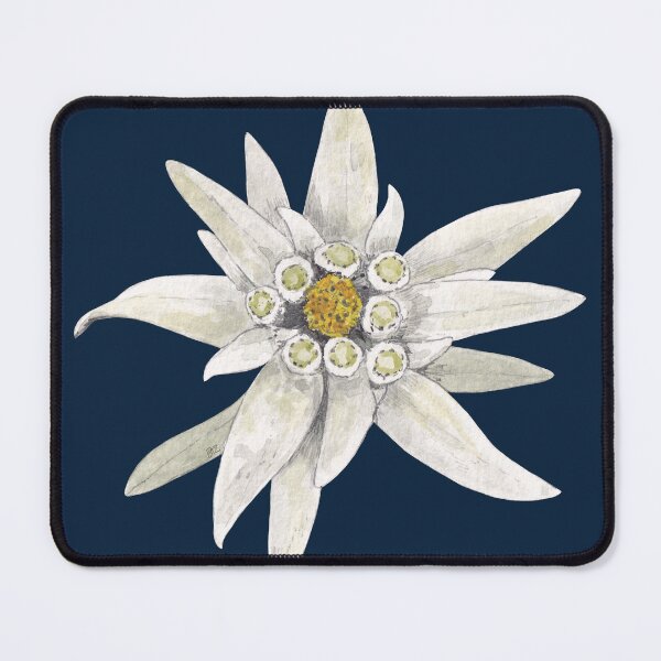Item preview, EDELWEISS-Leontopodium alpinum 2 designed and sold by BEATRIZ ABAITUA.