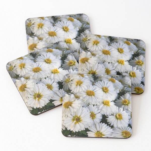 Item preview, White-panicle aster flower designed and sold by Luka Šper.