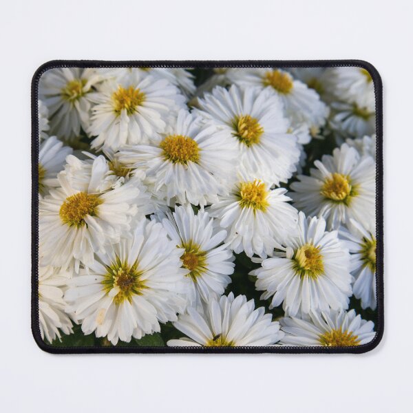 Item preview, White-panicle aster flower designed and sold by Luka Šper.