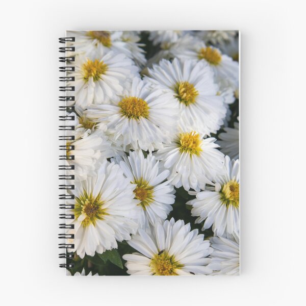 Item preview, White-panicle aster flower designed and sold by Luka Šper.