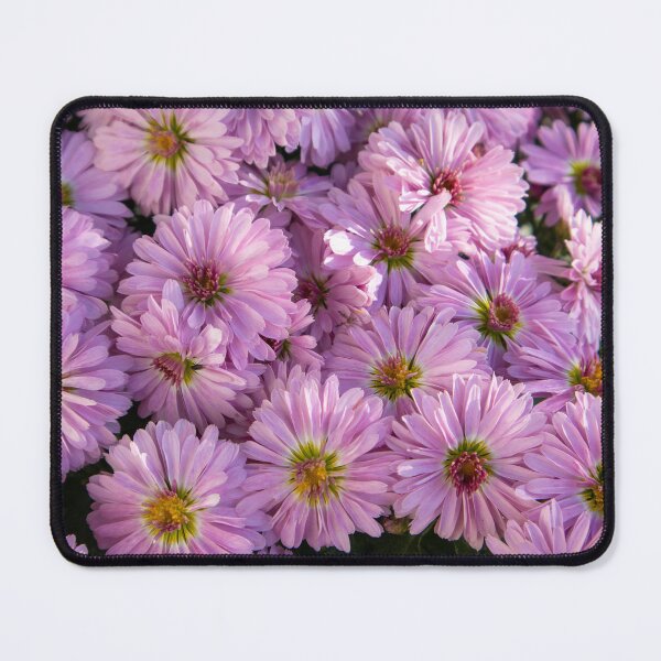 Item preview, New york aster flower designed and sold by Luka Šper.